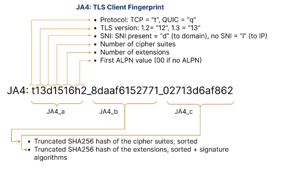 JA4 Anatomy Diagram